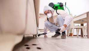 Reliable Moville, IA Pest control Solutions